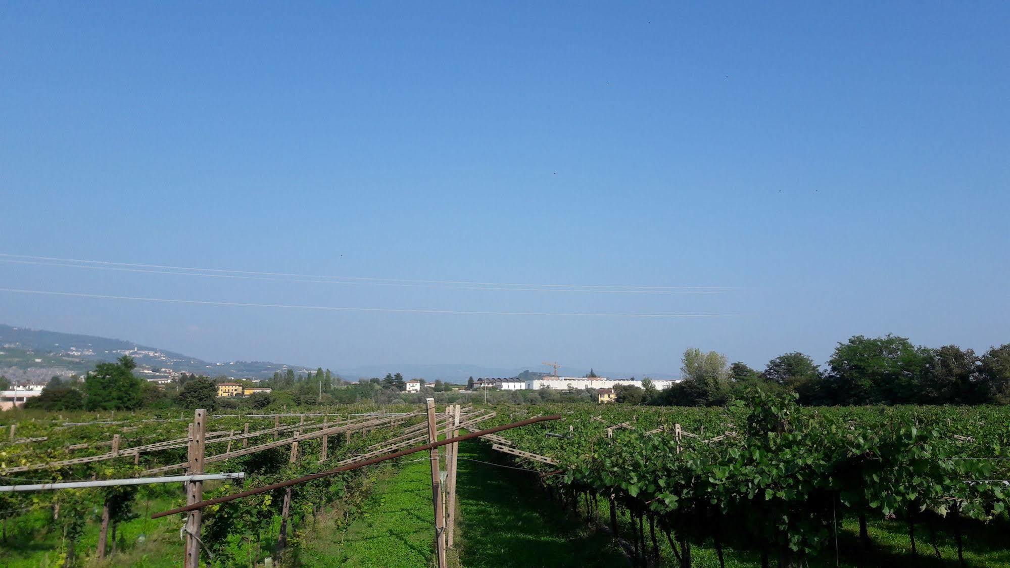 Agriturismo Camparella Pastrengo Exterior photo